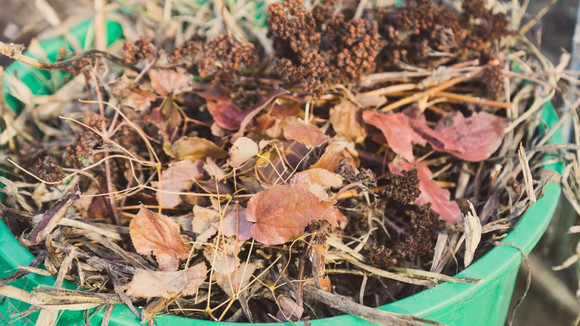 What Is a Fall Yard Cleanup Service?