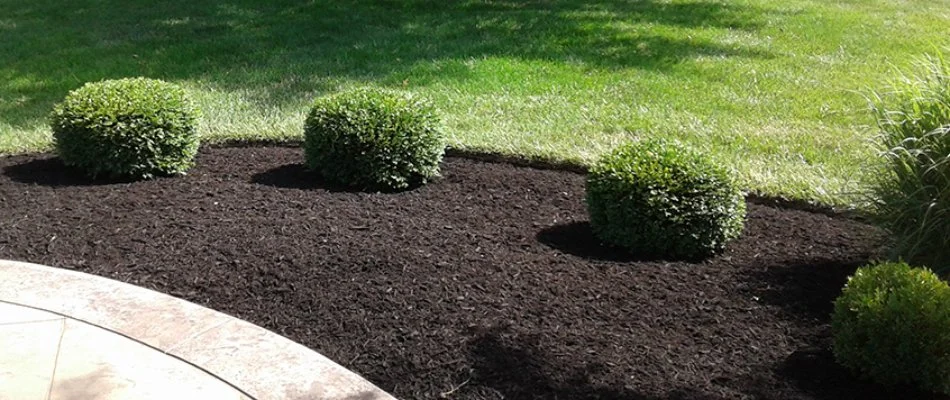 Trimmed shrubs and fresh mulch in West Chester, OH.