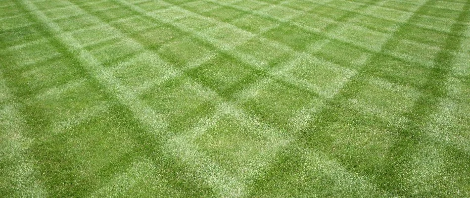 Diagonal mowing pattern on lawn in West Chester, OH.