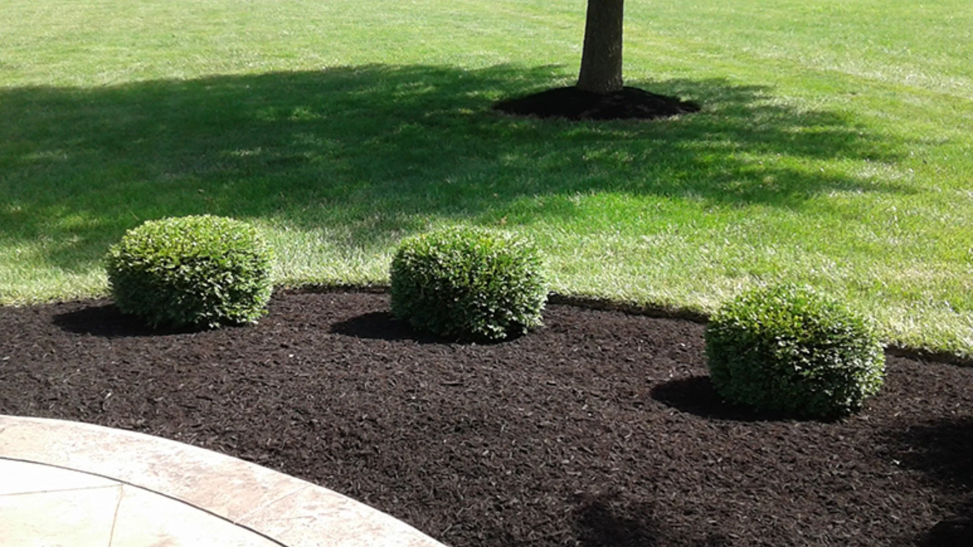 Your Mulch Ground Cover Should Be the Proper Thickness for Maximum Benefits