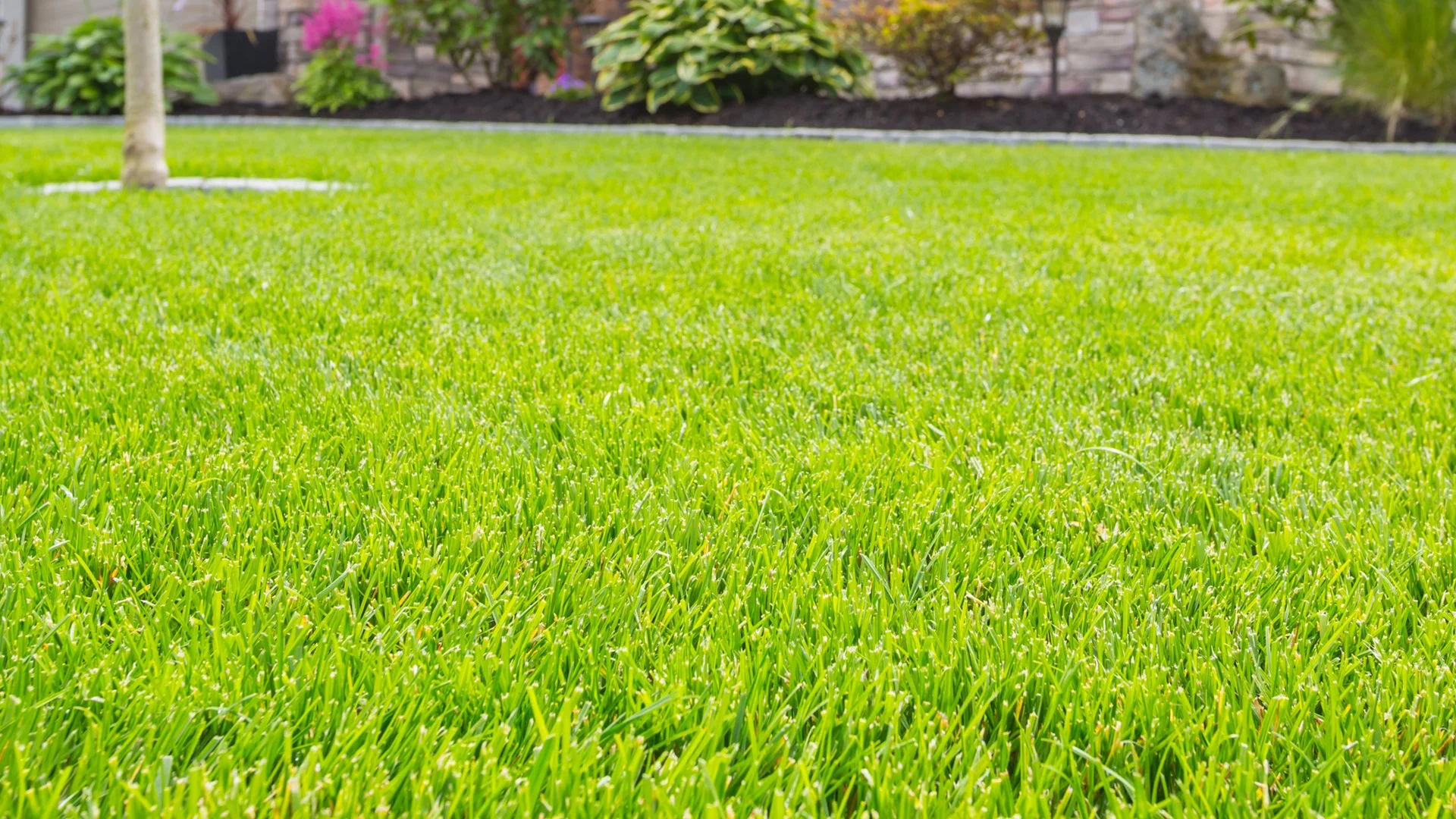 Is Granular or Liquid Fertilizer Better for Your Lawn in Ohio?