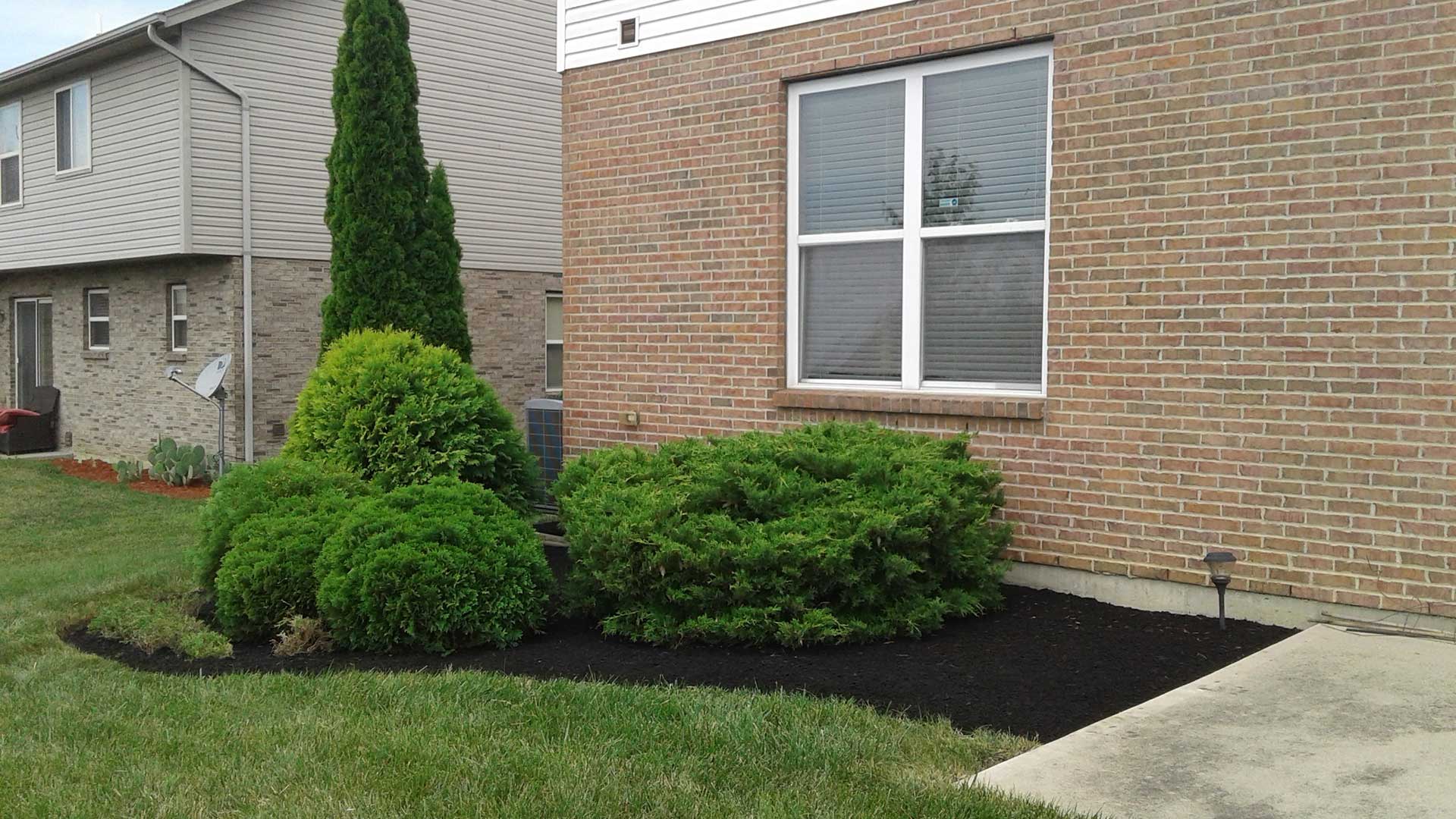 Landscape bed renovated in Mason, OH.