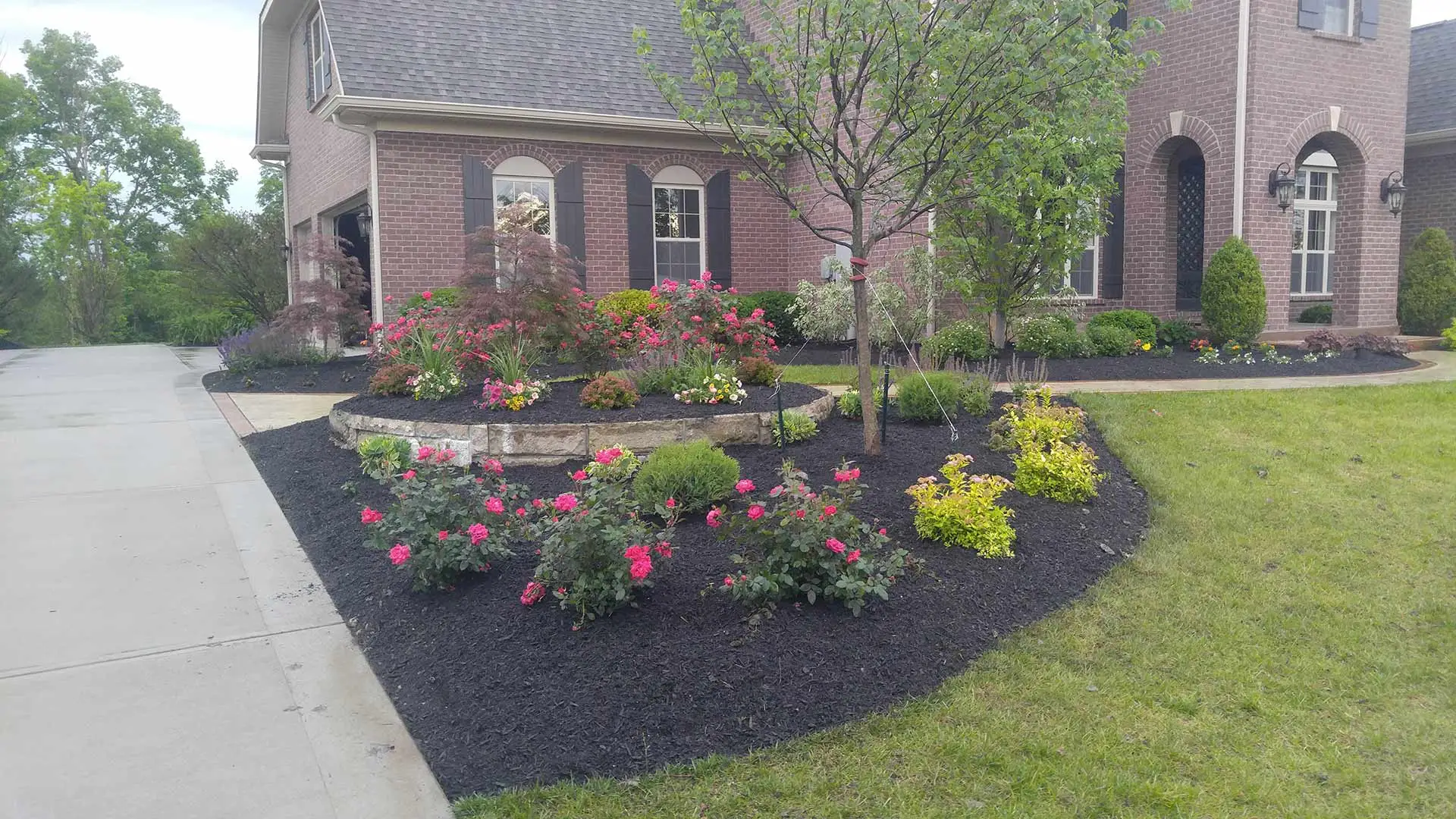 Plantings and softscape installed in West Chester Township, OH.
