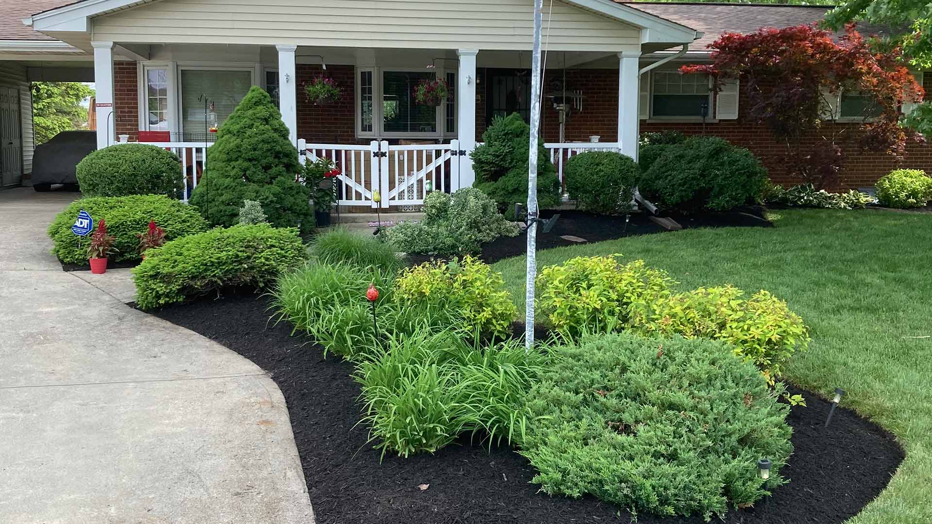 Shrubs and plantings maintained in a landscape bed in Mason, OH.