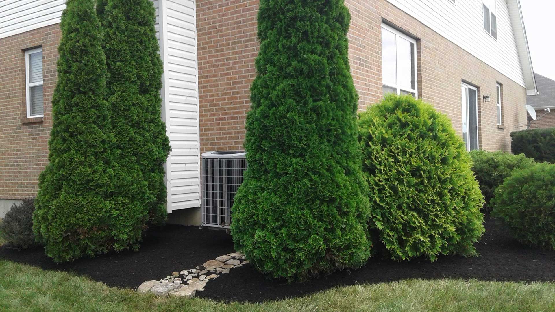 Shrubs trimmed and mulch maintained in Mason, OH.