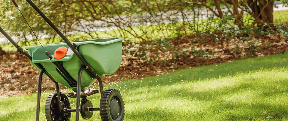 Fertilizer spreader in lawn in Mason, OH.