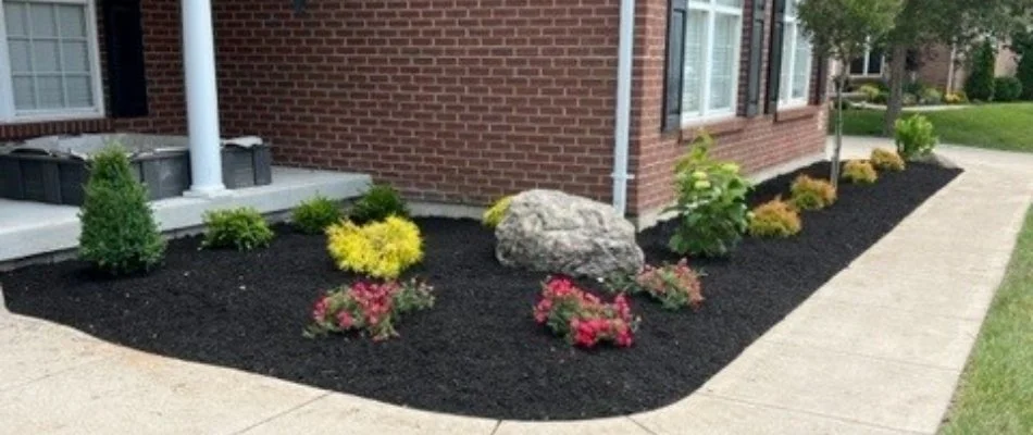 Landscape in Landen, OH, with plants and black mulch.