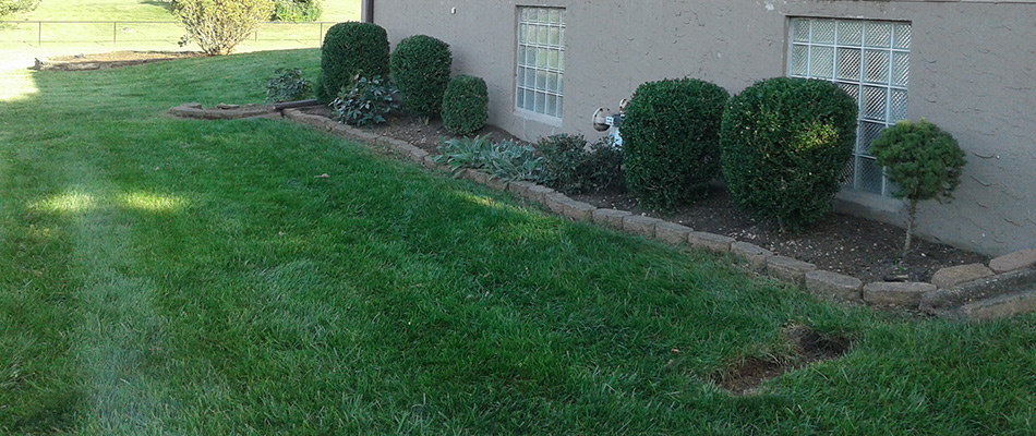 Lawn and landscape maintained and cared for in West Chester Township, OH.
