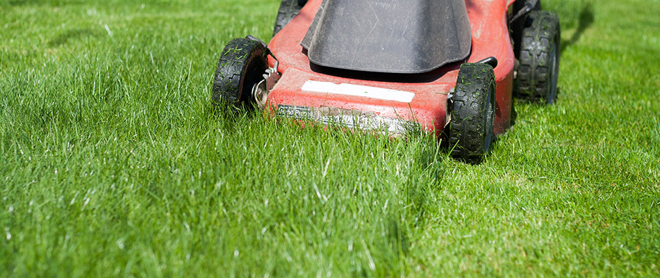 Mower in lawn mowing lawn at a specific height in Mason, OH.