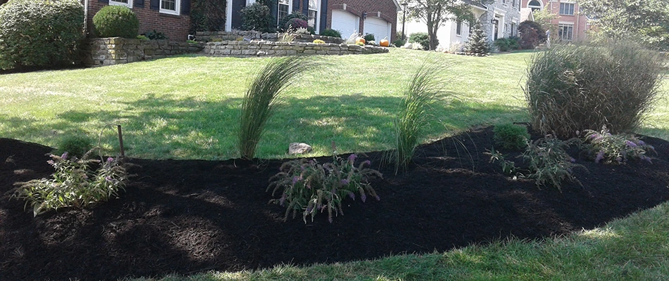 Mulch added to landscape bed in Liberty Township, OH.