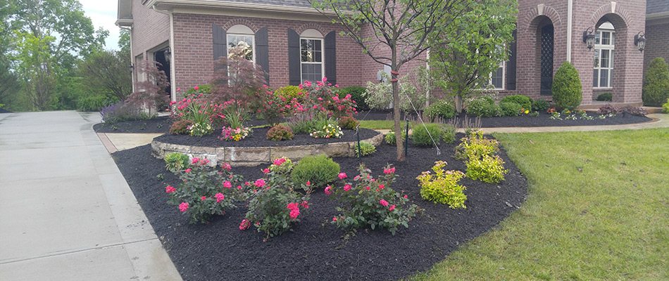 Mulch installed to landscape bed with flowers in Mason, OH.