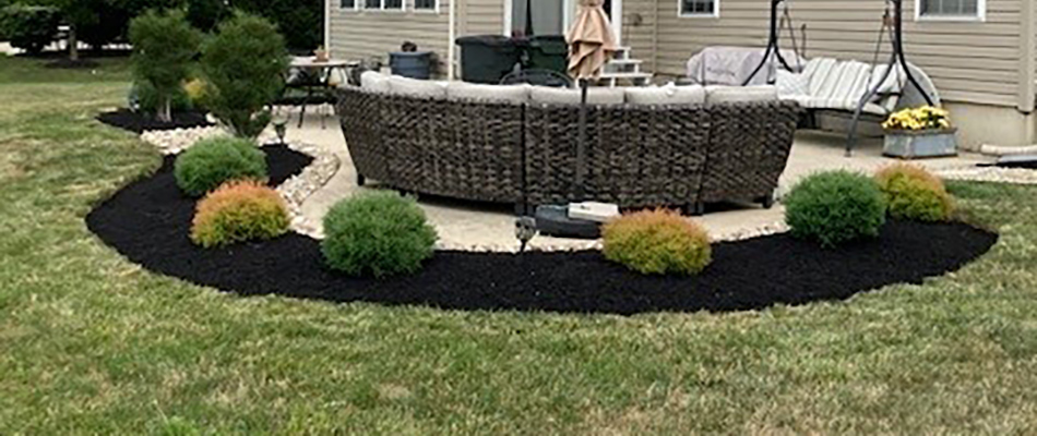Mulch installed with plantings trimming in a landscape bed in Liberty Township, OH.