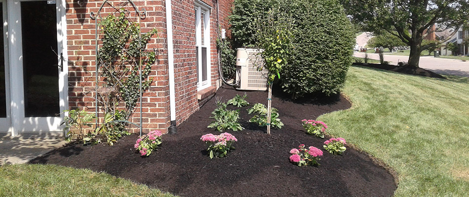 Plantings and mulch installed for a landscape bed in Liberty Township, OH.