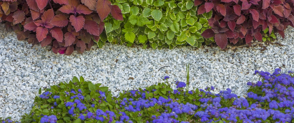 Fresh white and grey rocks installed around some purple and red plants by a home in Indian Hill, OH.