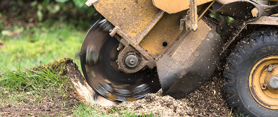 Stump grinding tree service being performed in Liberty Township, OH.