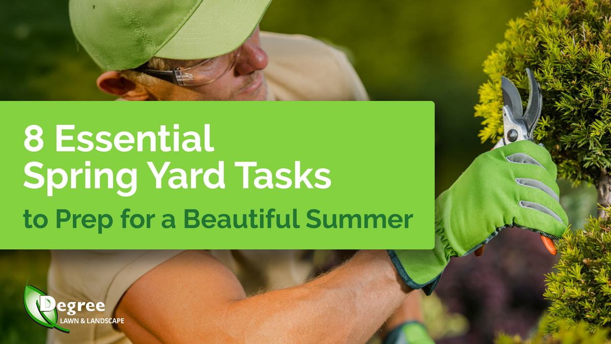 8 Essential Spring Yard Tasks to Prep for a Beautiful Summer