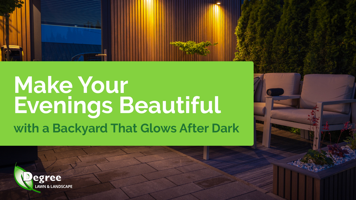 Make Your Evenings Beautiful with a Backyard That Glows After Dark