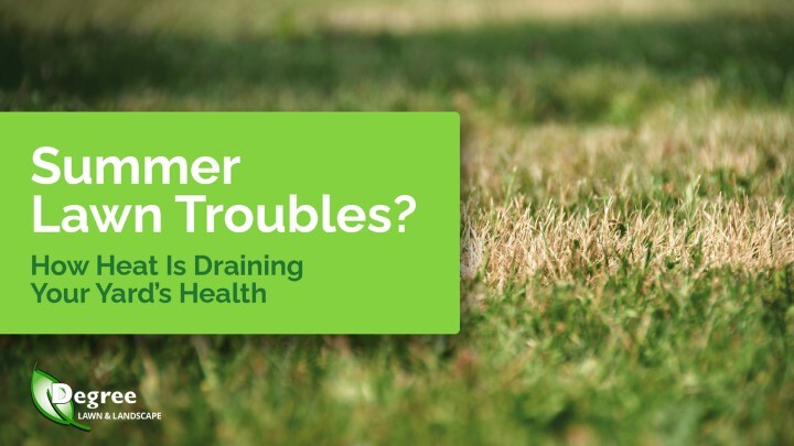 Summer Lawn Troubles? How Heat Is Draining Your Yard’s Health