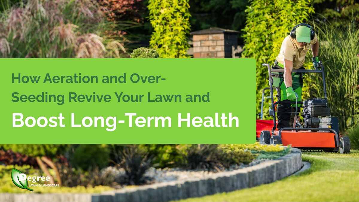 How Aeration and Over-Seeding Revive Your Lawn and Boost Long-Term Health