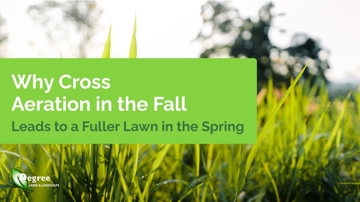 Why Cross Aeration in the Fall Leads to a Fuller Lawn in the Spring