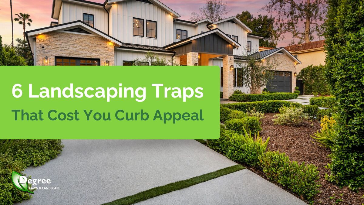 6 Landscaping Traps That Cost You Curb Appeal