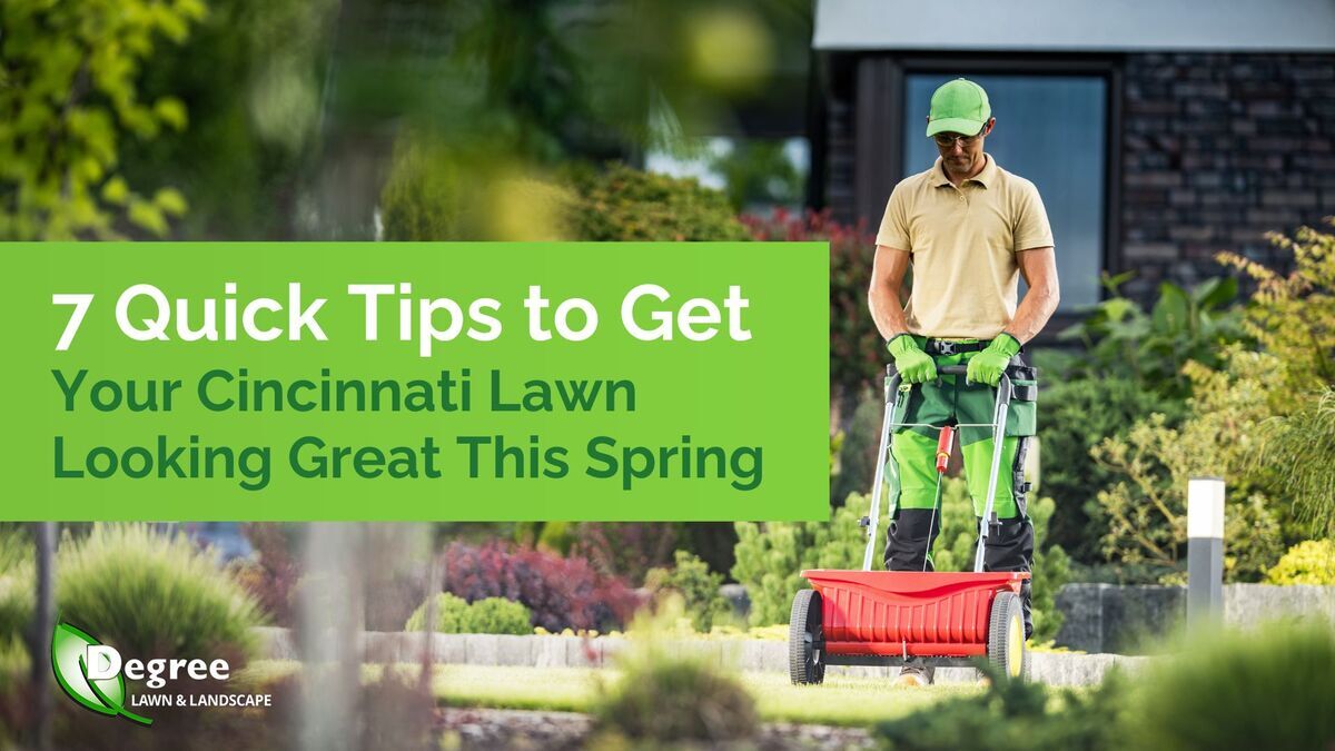 7 Quick Tips to Get Your Cincinnati Lawn Looking Great This Spring