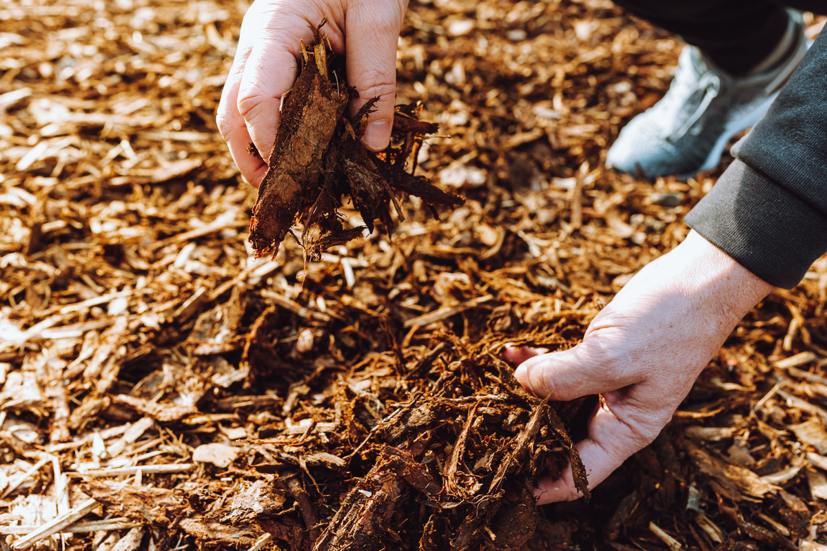 hands in mulch