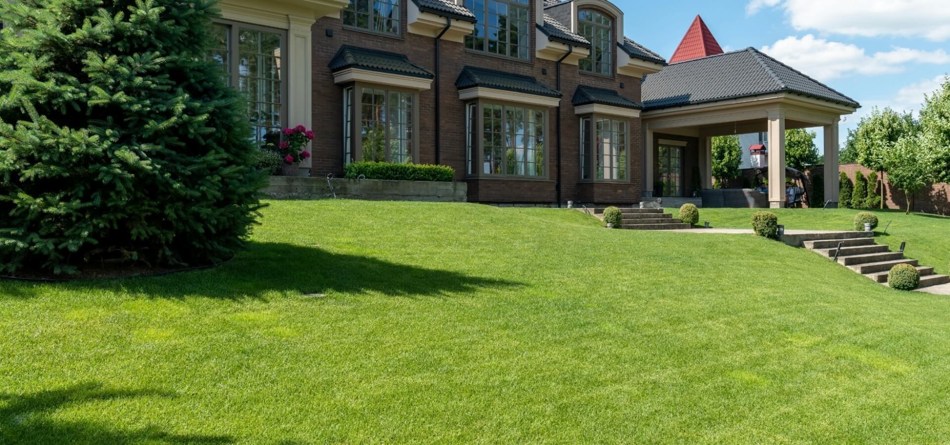 Yard in front of house