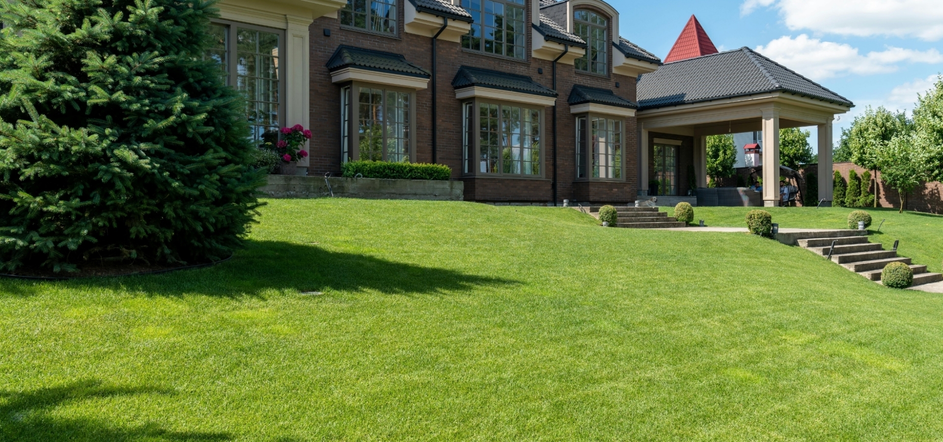 Yard in front of house